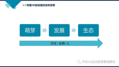阿里巴巴組織能力建設(shè) 企業(yè)管理的核心路徑